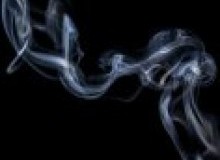 Kwikfynd Drain Smoke Testing
jarrahwood